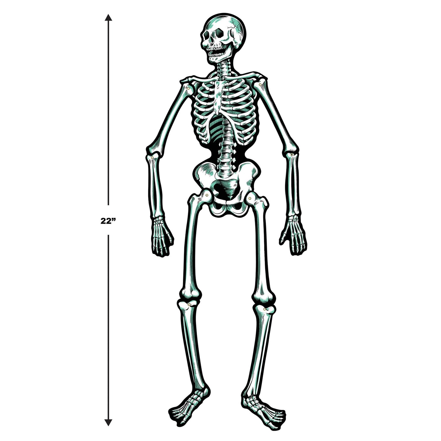 Beistle Retro Jointed Skeletons (Set of 2)