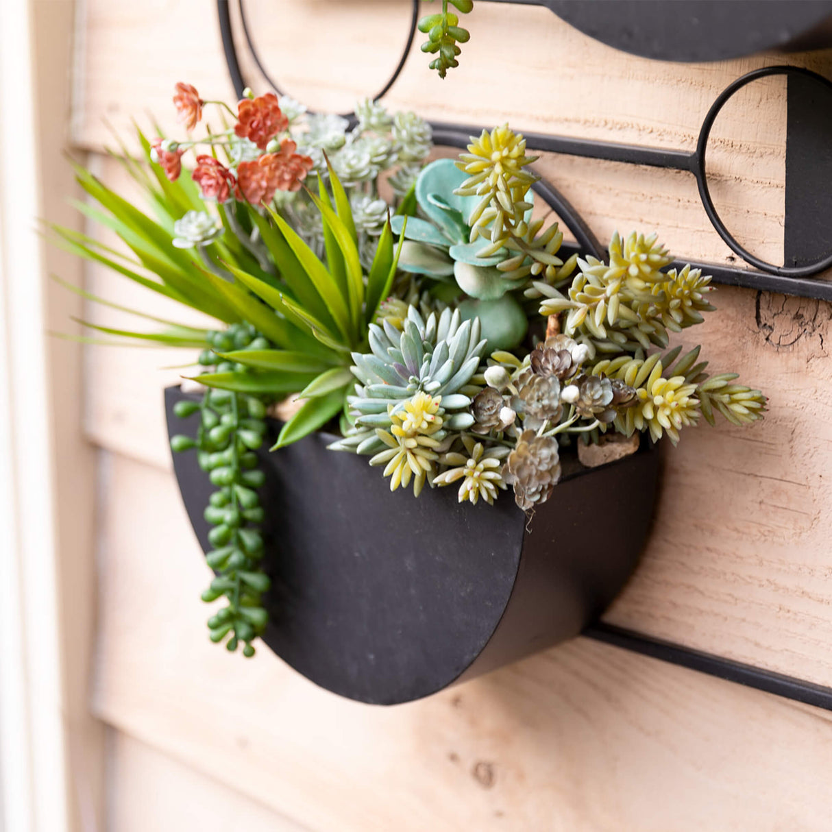 Textured Green Succulent Pick