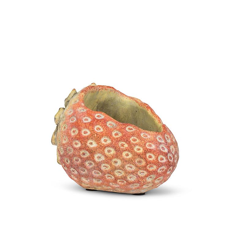 Laying Strawberry Cement Planter