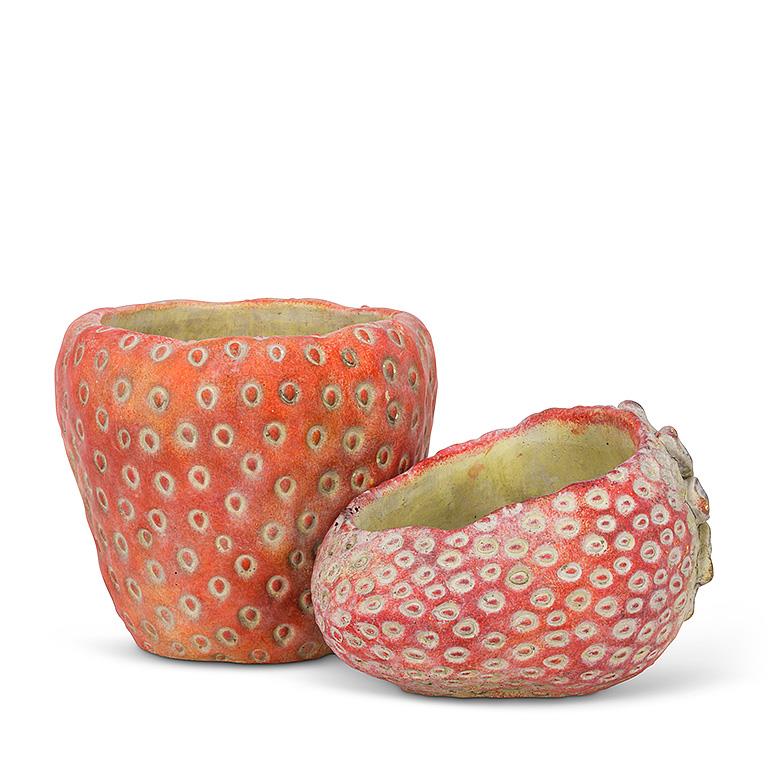 Strawberry Cement Planter