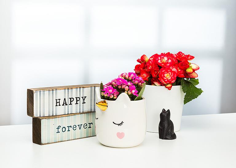 Mini Cast Iron Cat Figurines