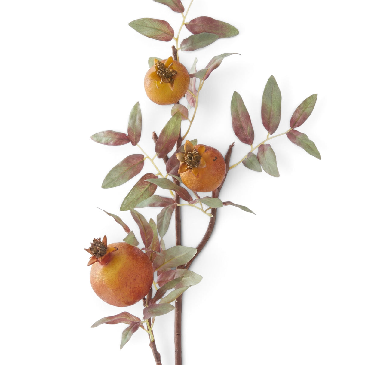 Orange Pomegranate Stem
