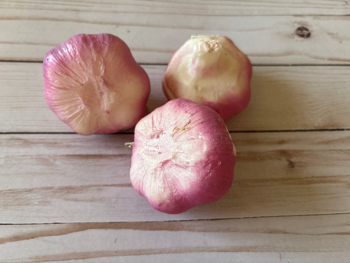 Garlic Bulb Zipper Coin Pouch