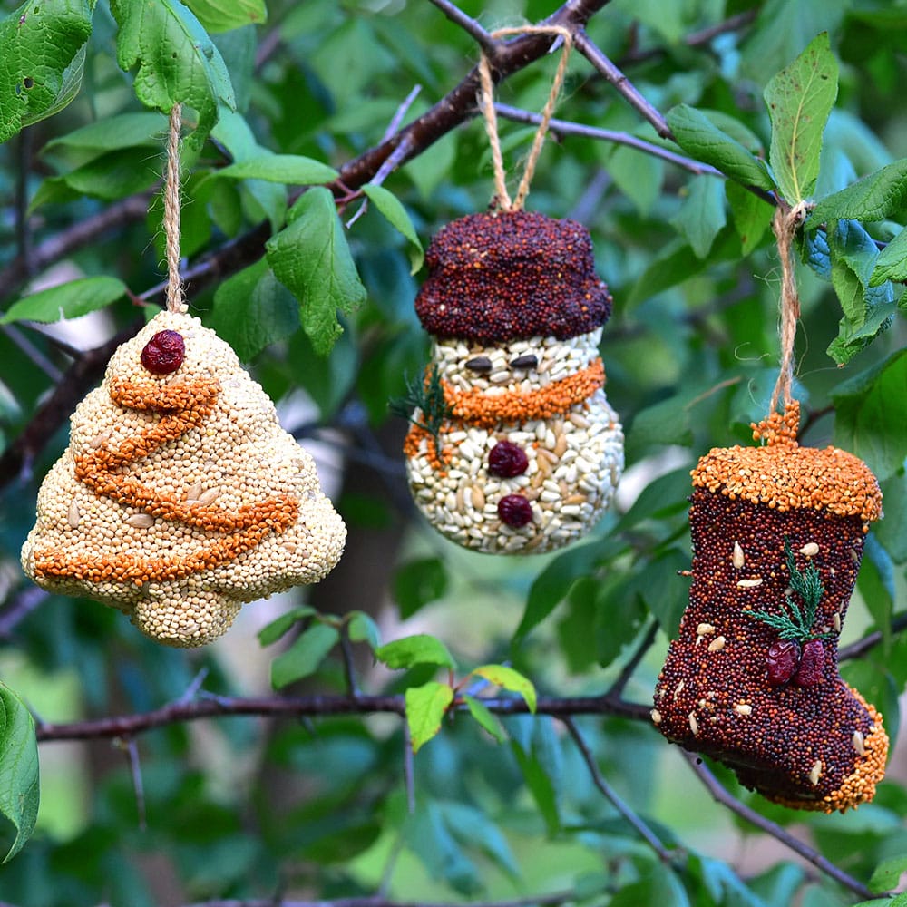 Christmas Cookie Bird Seed Treat | Mr. Bird