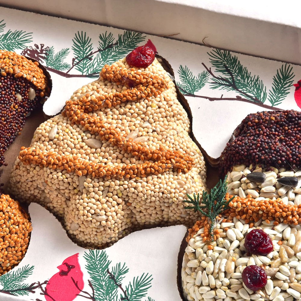 Christmas Cookie Bird Seed Treat | Mr. Bird