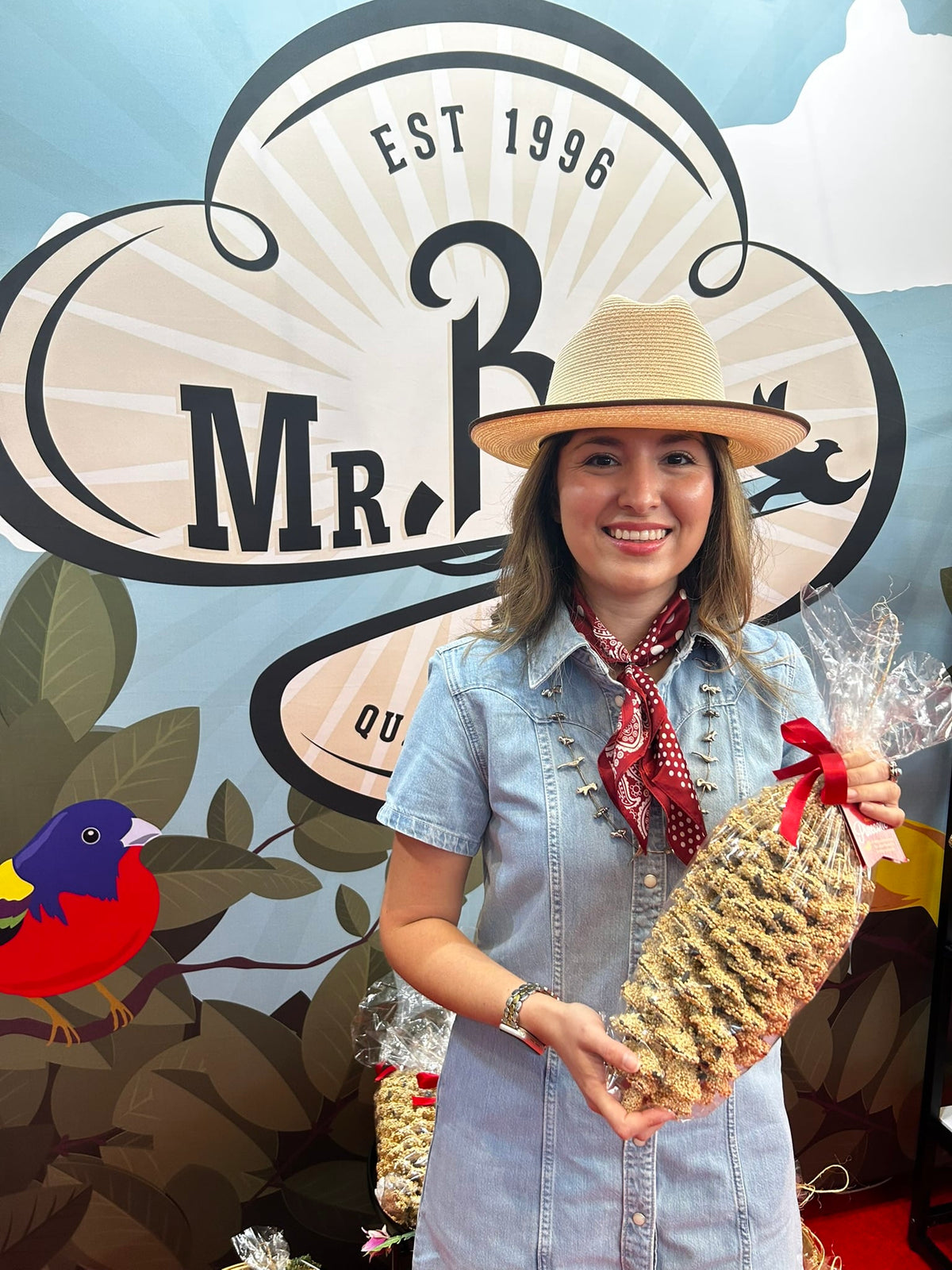 Giant Bird Seed Pine Cone | Mr. Bird