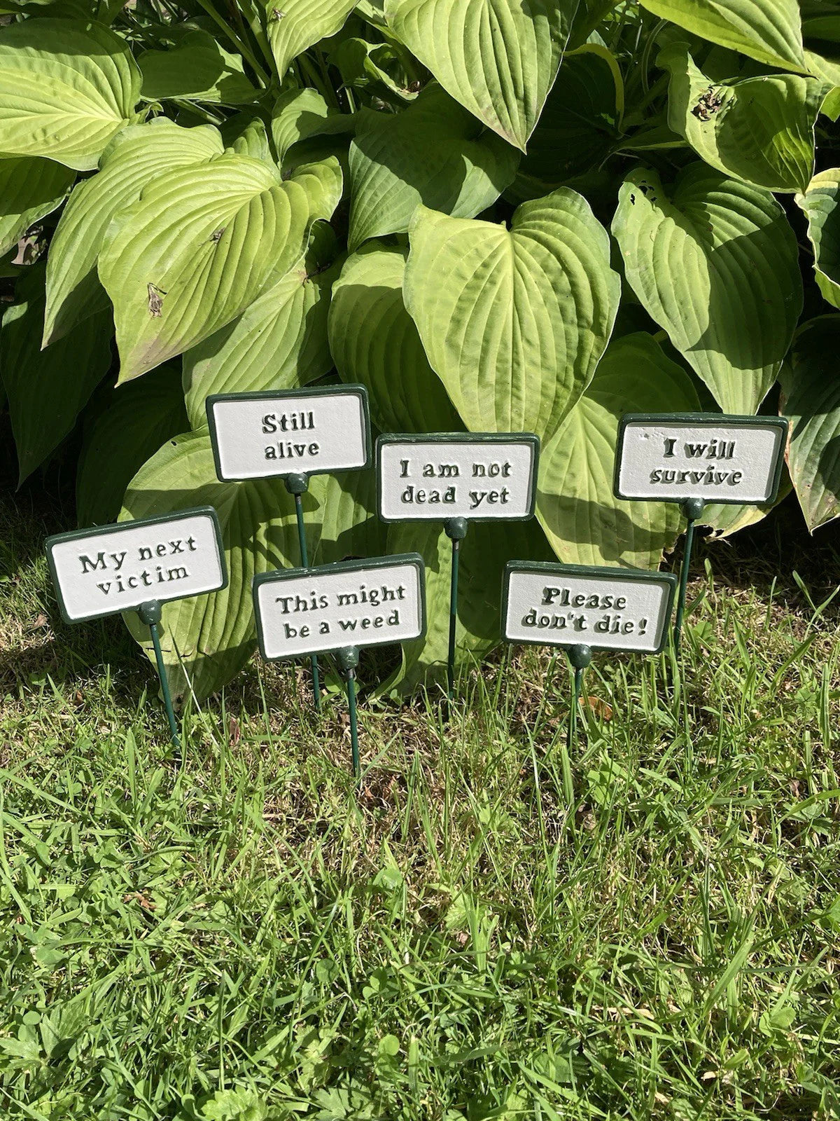Funny Cast Iron Garden Plant Stake Sign