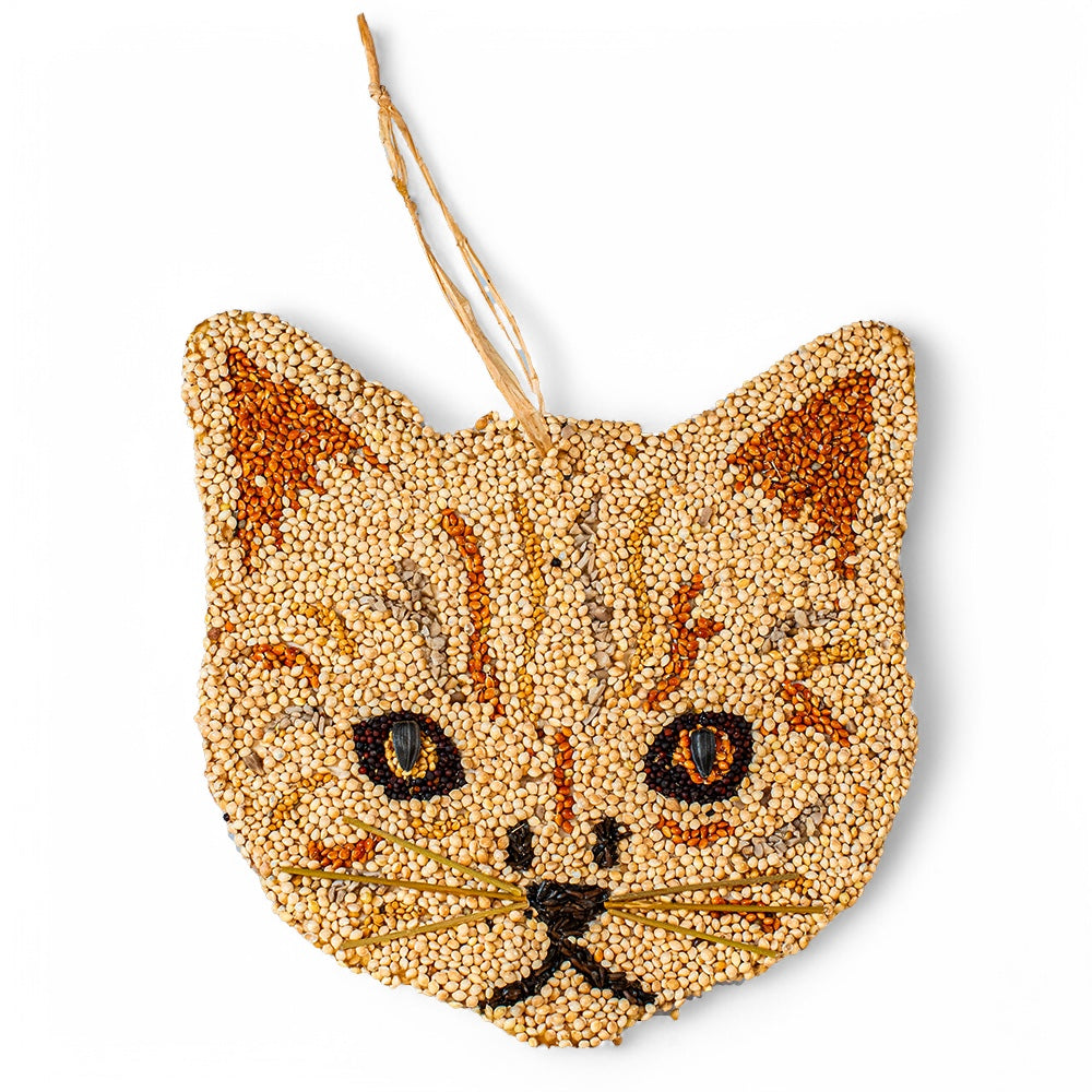 Cat-Shaped Bird Seed Cookie | Mr. Bird