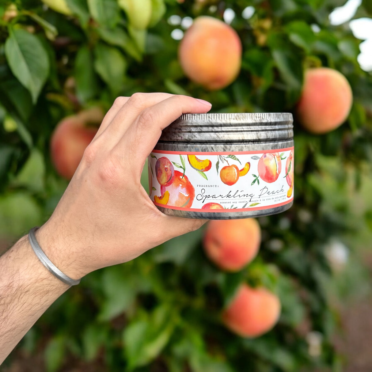 Sparkling Peach 3 Wick Soy Candle in Tin