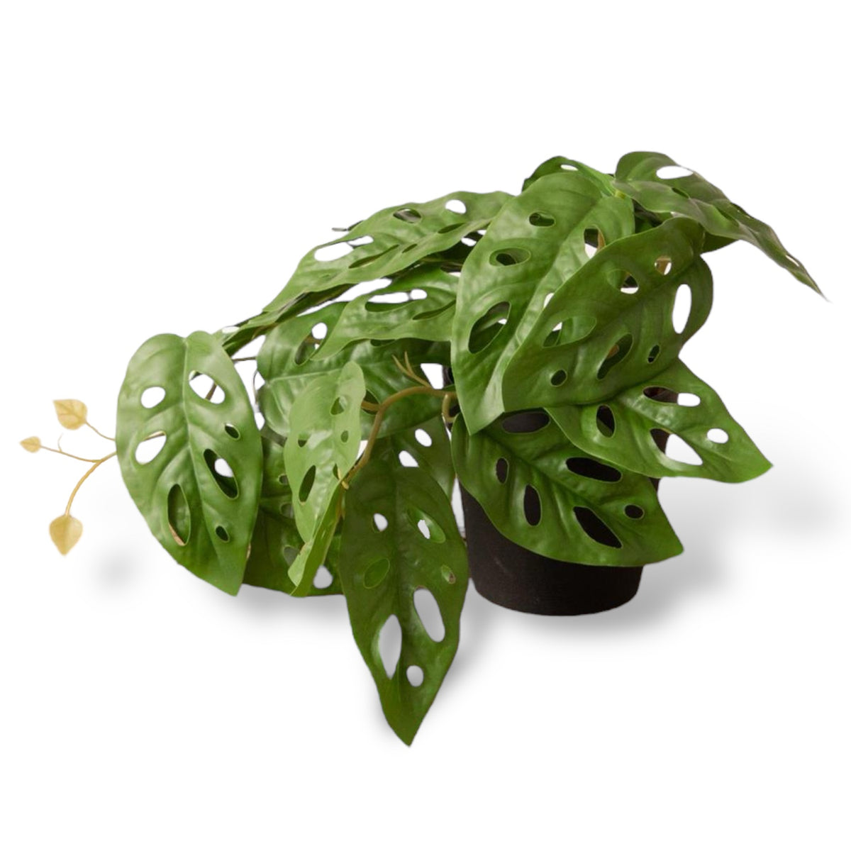 faux potted monstera plant Faux Potted Monstera Plant – Rust & Cinder