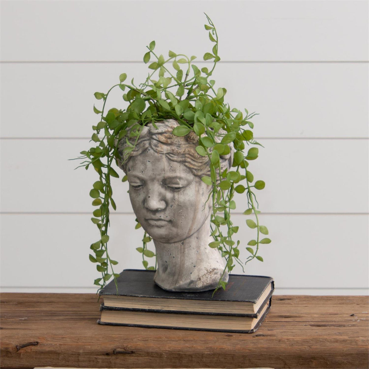 Distressed Cement Garden Head Bust Planter