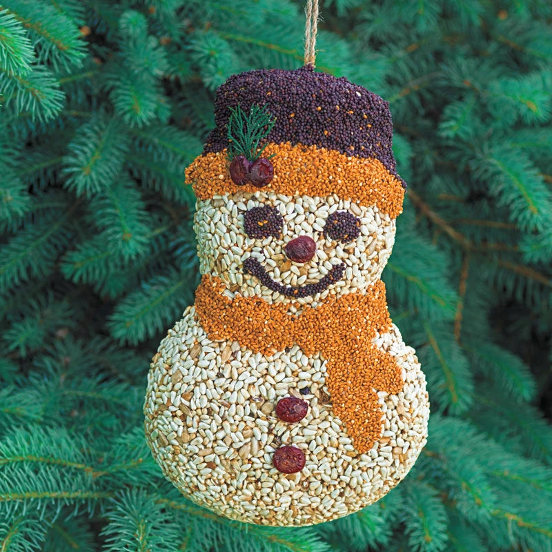 Frosty the Snowman Birdseed Figure | Mr. Bird