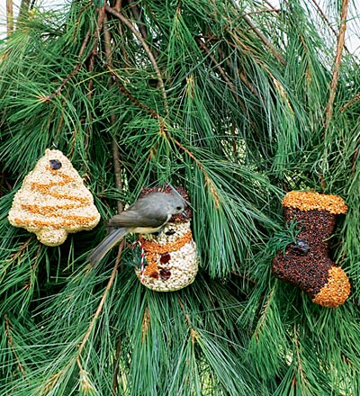Christmas Cookie Bird Seed Treat | Mr. Bird
