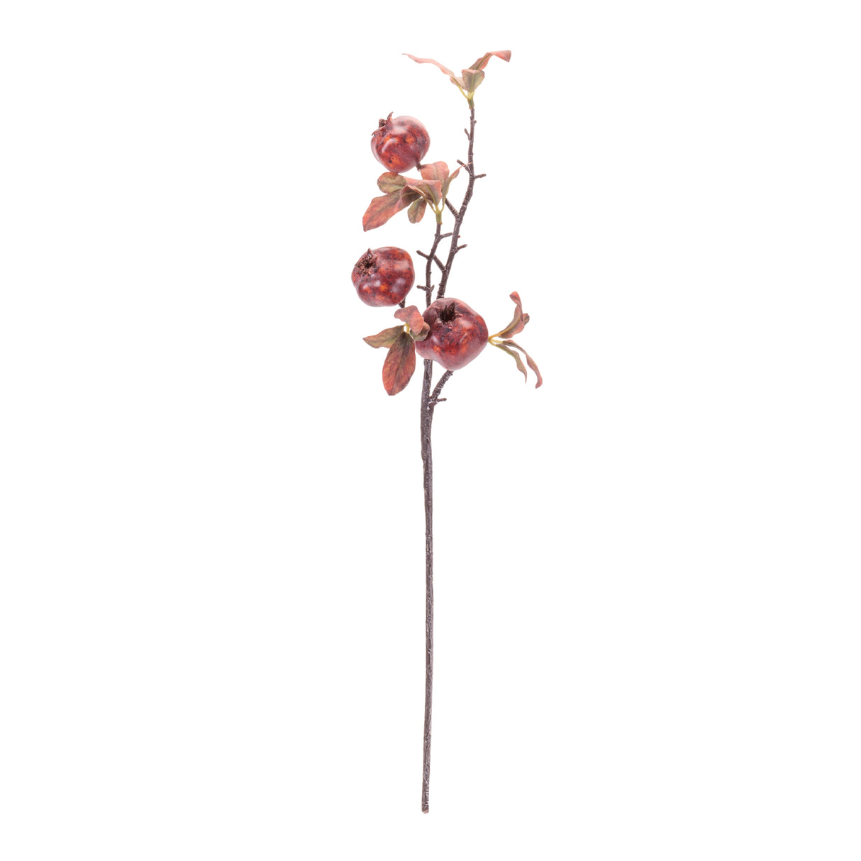 Faux Pomegranate Stem with Leaves
