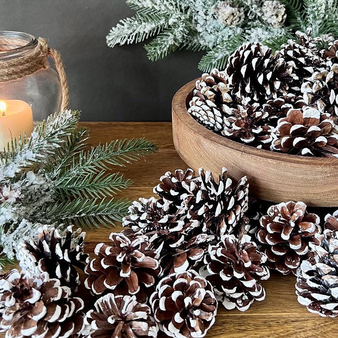 Bag of Snowy Pinecones
