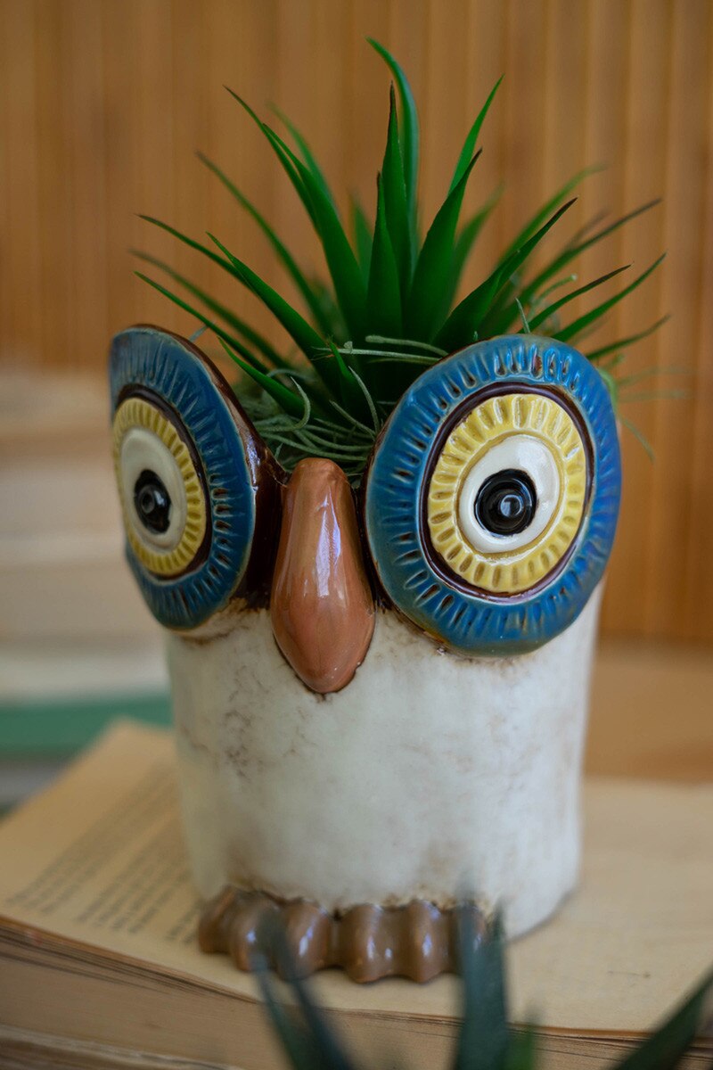 Wide Eyed Ceramic Owl Planter