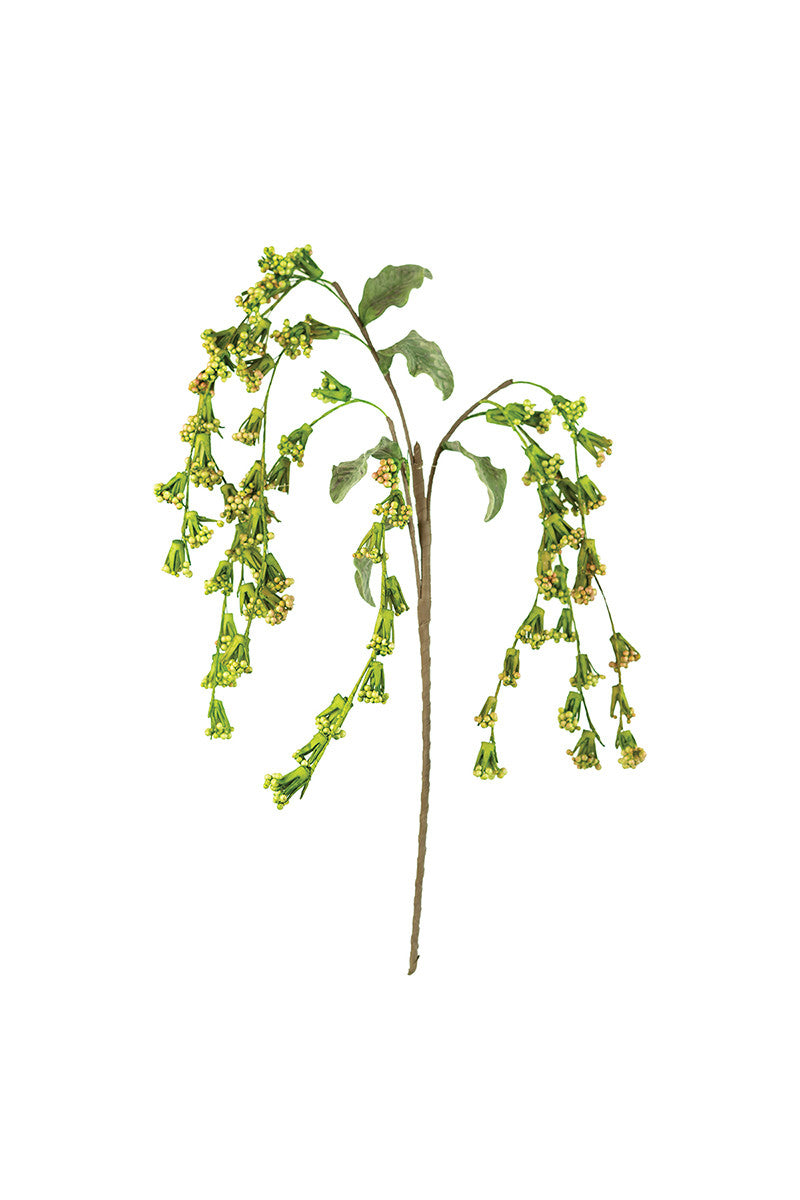 Trailing Green & Crimson Berry Stem