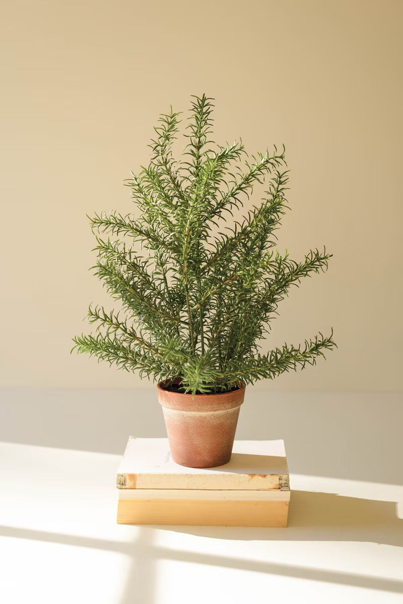 Artificial Rosemary Plant in Pot