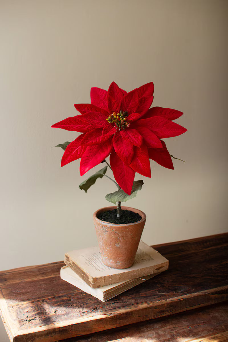Red Artificial Poinsettia in Cement Pot