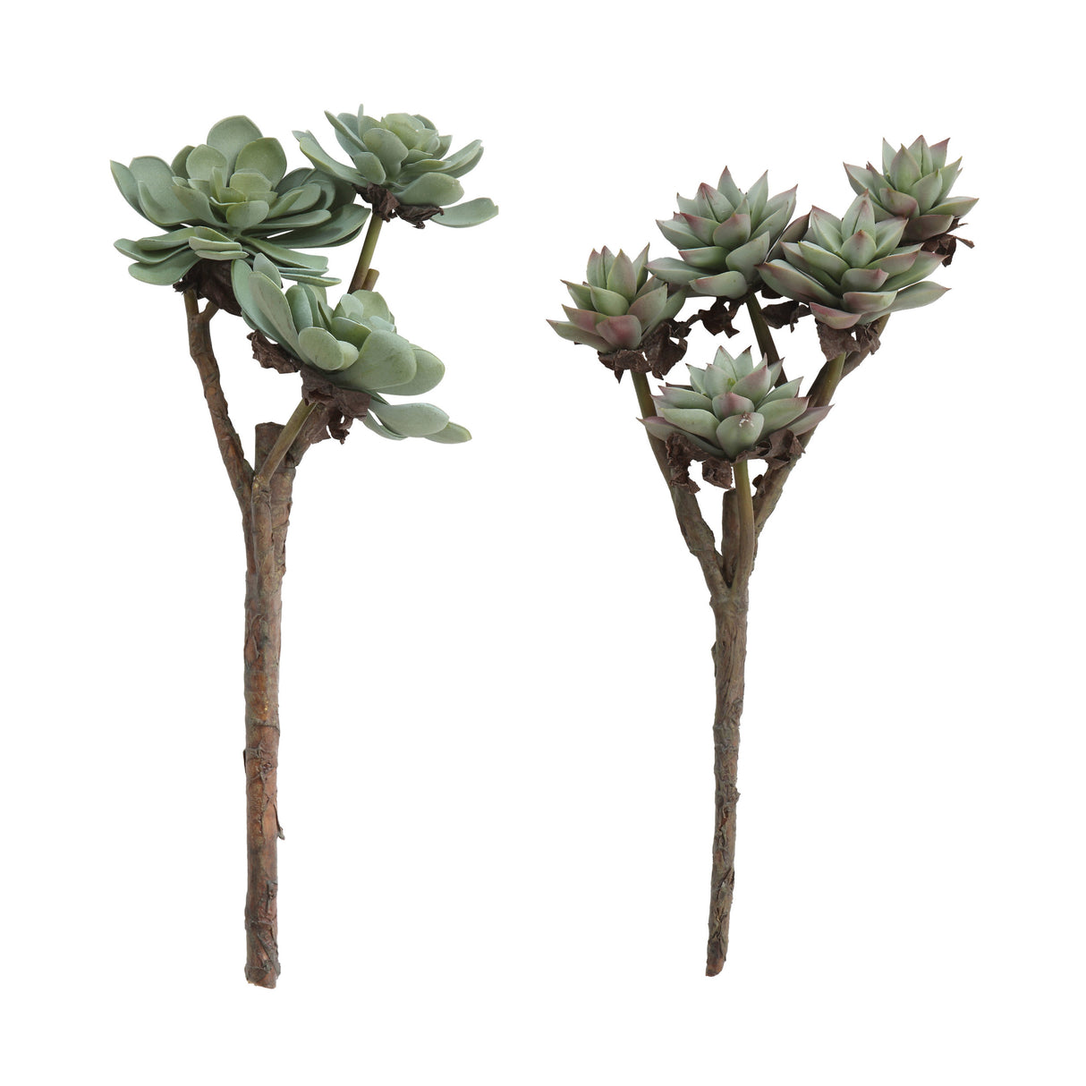 faux succulent branches