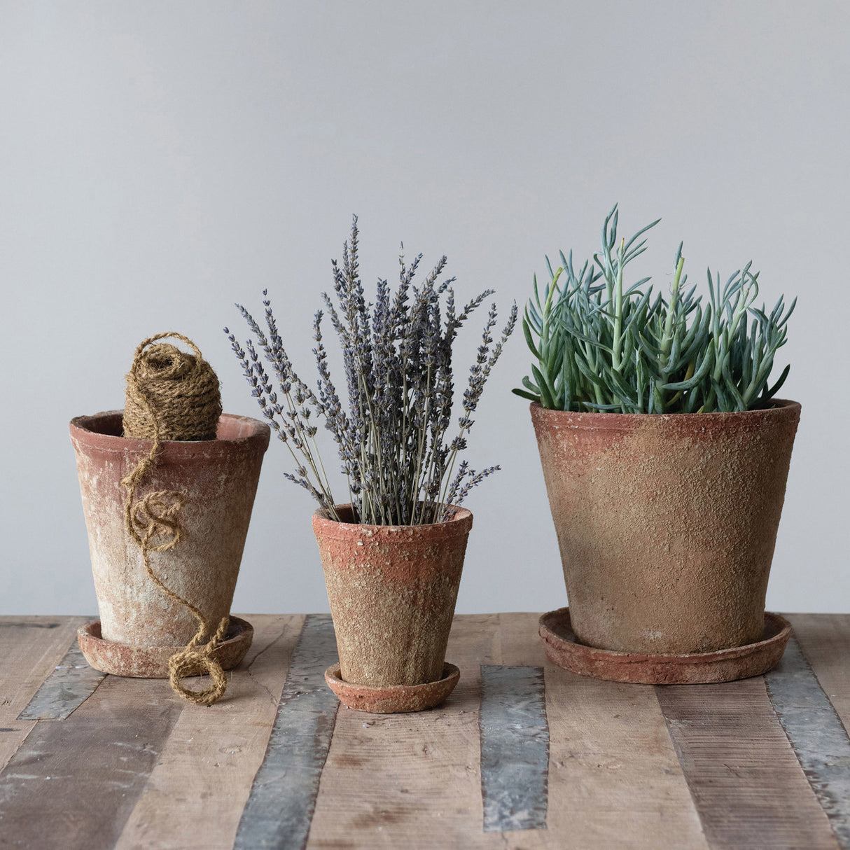 Distressed Terracotta Finish Cement Planter with Saucer