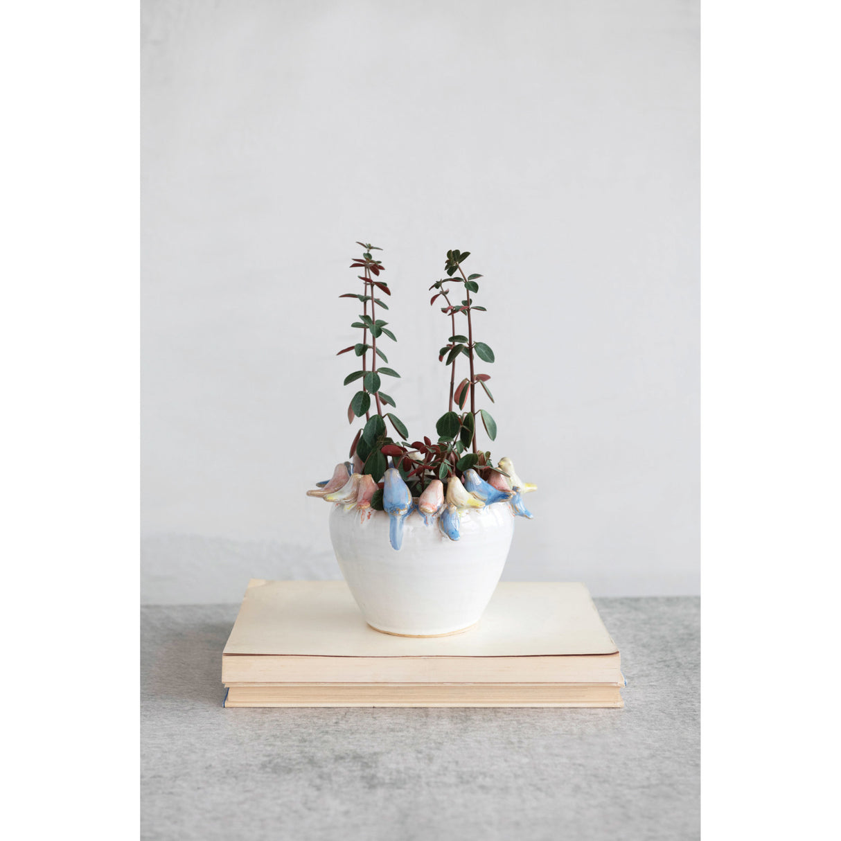 3D Bird Rim Ceramic Planter