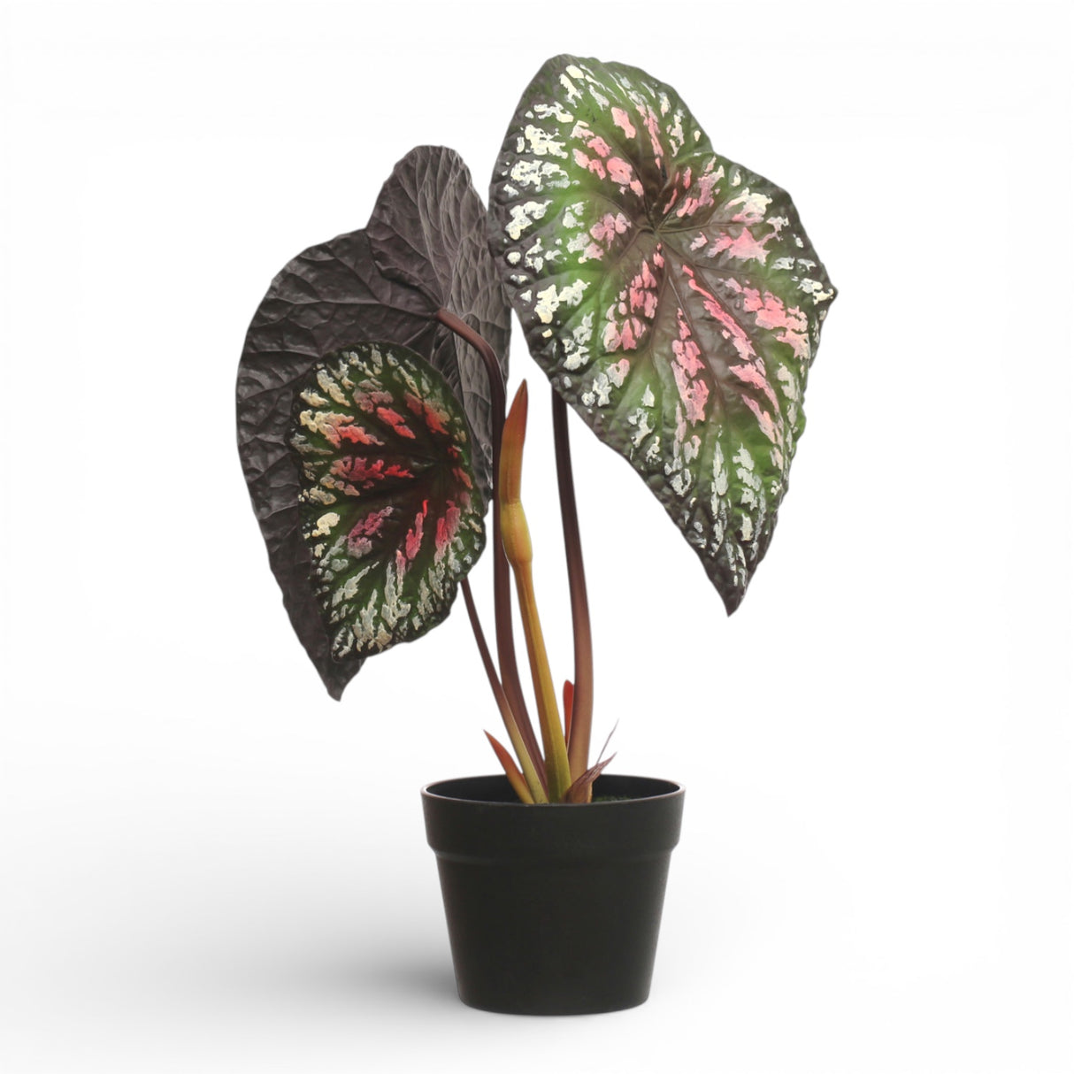 Potted Faux Begonia Plant