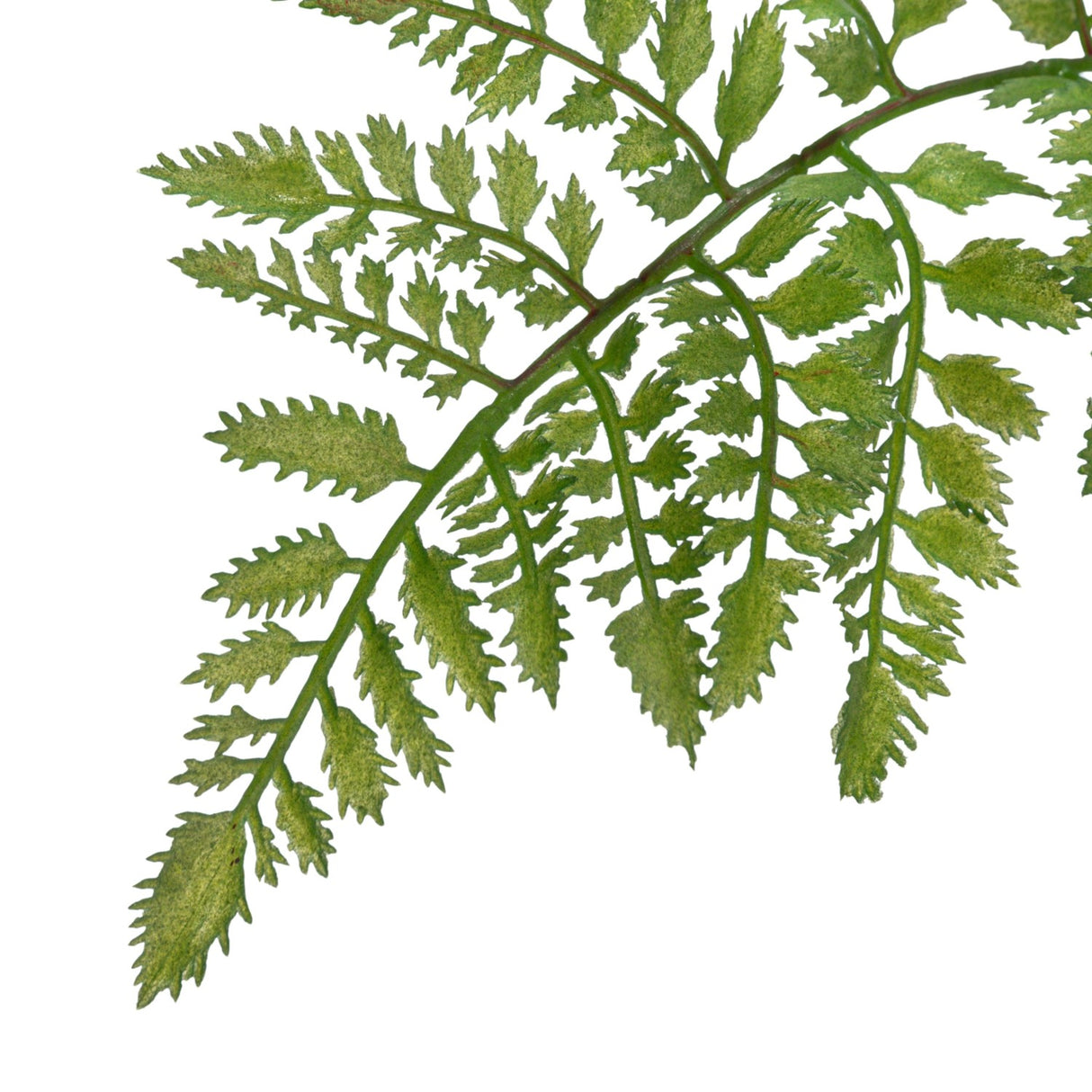 Faux Fern Tree in Plastic Pot