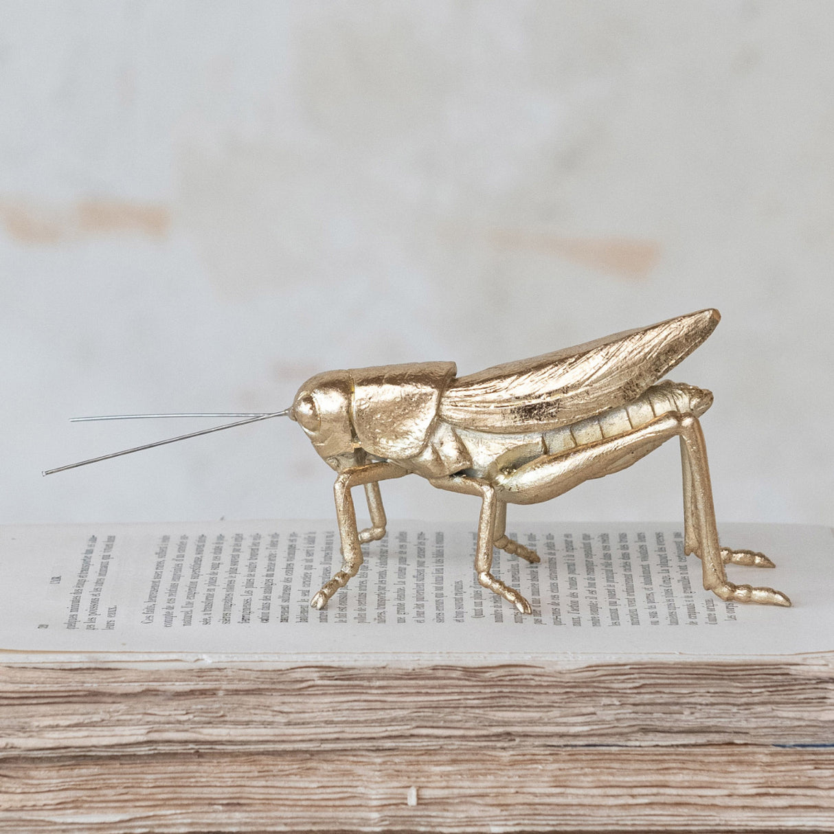Gold Grasshopper Decorative Figurine