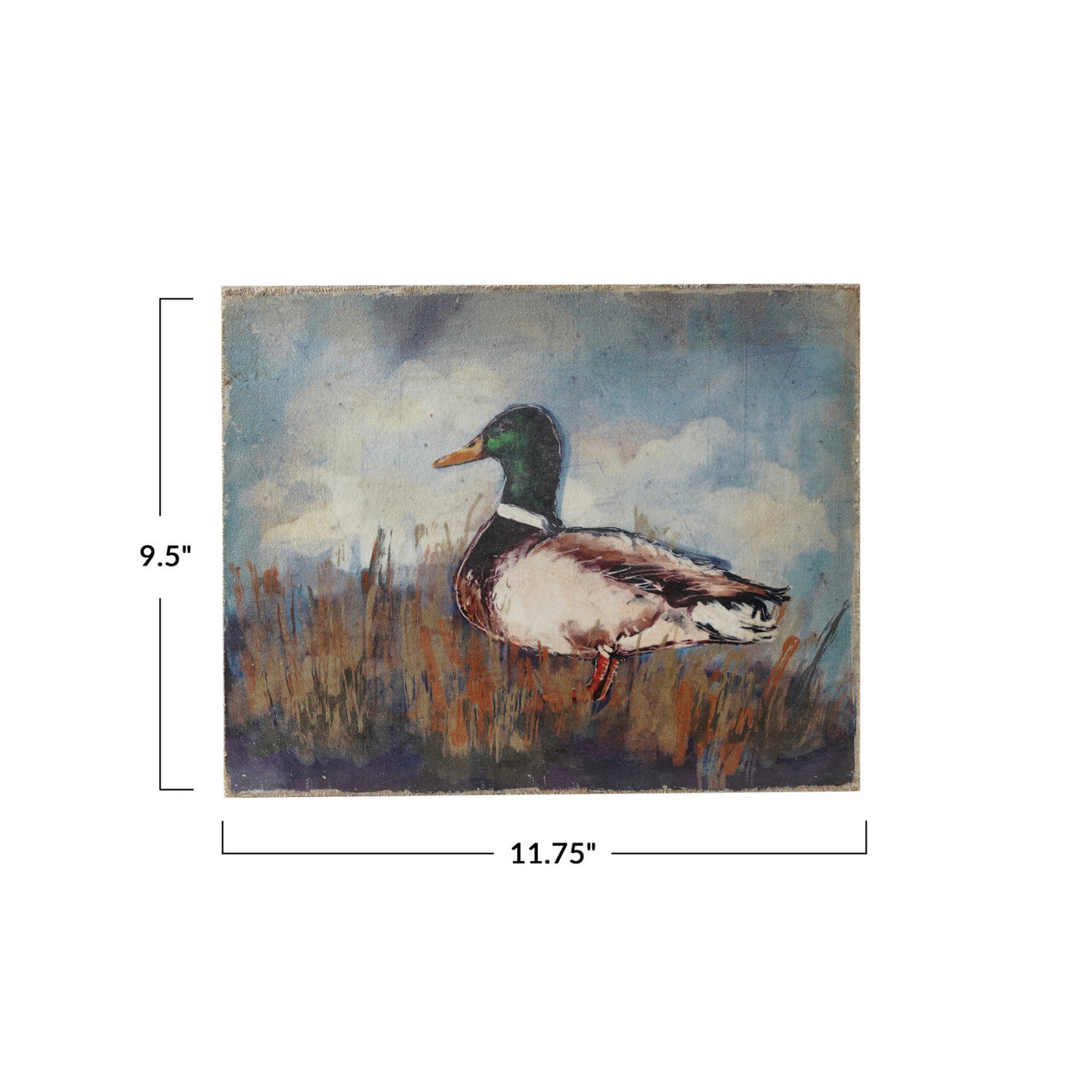 Distressed Duck Canvas Wall Art