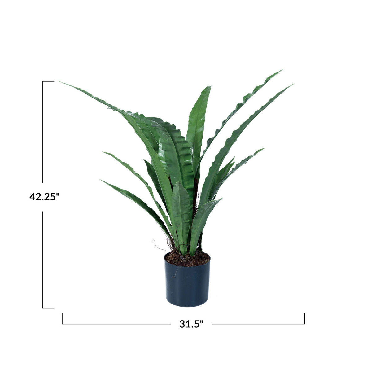 Faux Bird’s Nest Fern Floor Plant