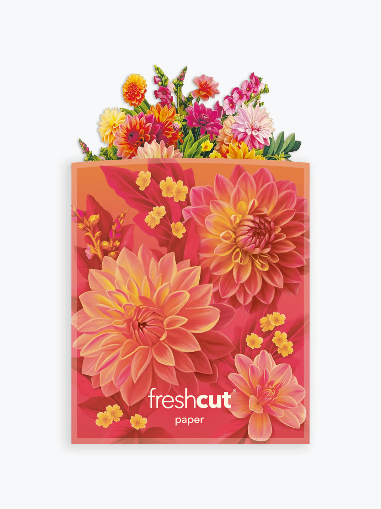 Mini Dahlia Sunrise Pop-Up Card | FreshCut Paper