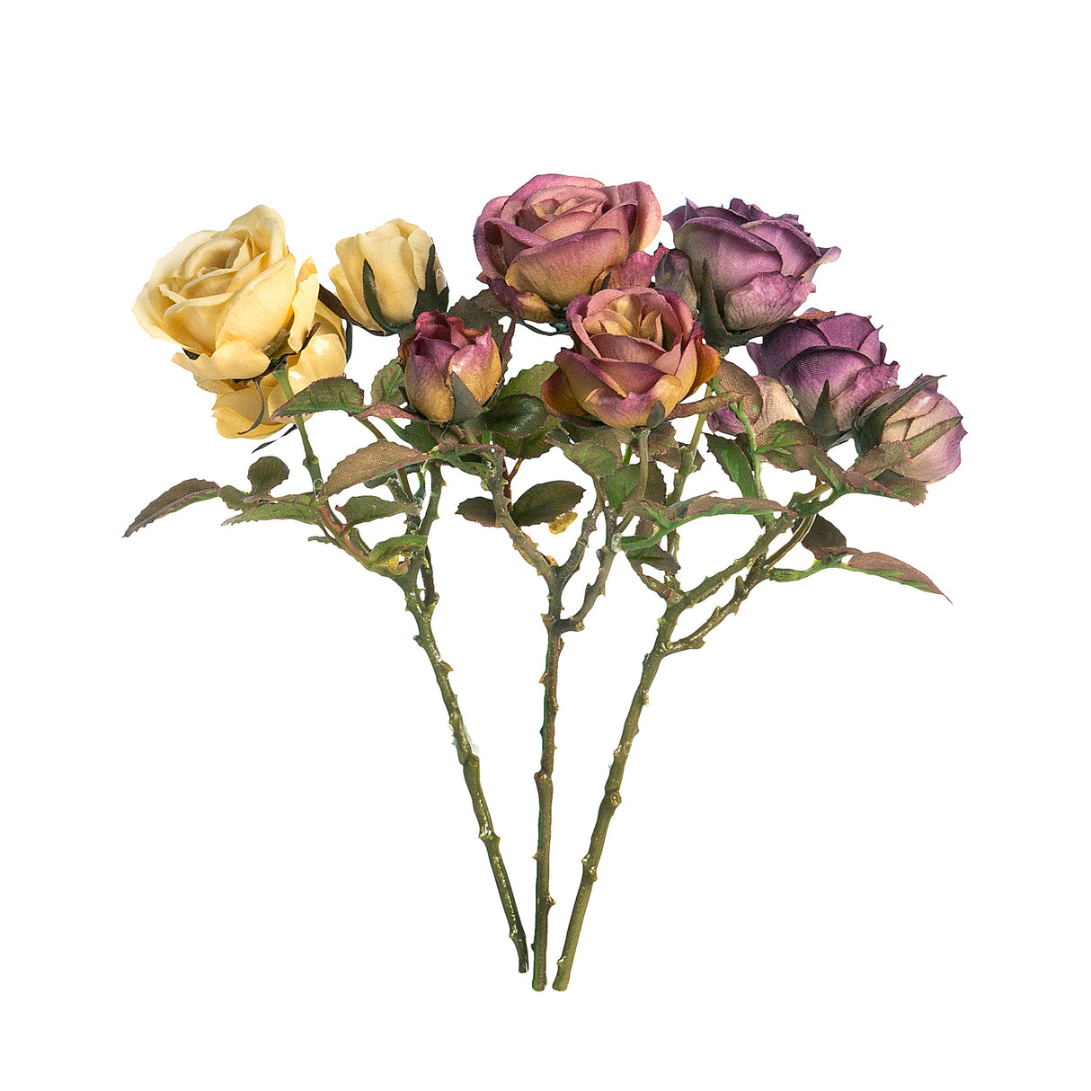 Dried Climbing Mini Rose Cut Stems