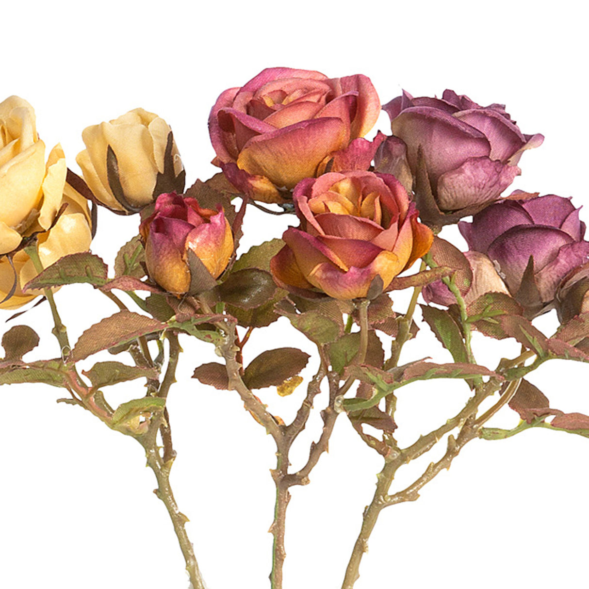 Dried Climbing Mini Rose Cut Stems