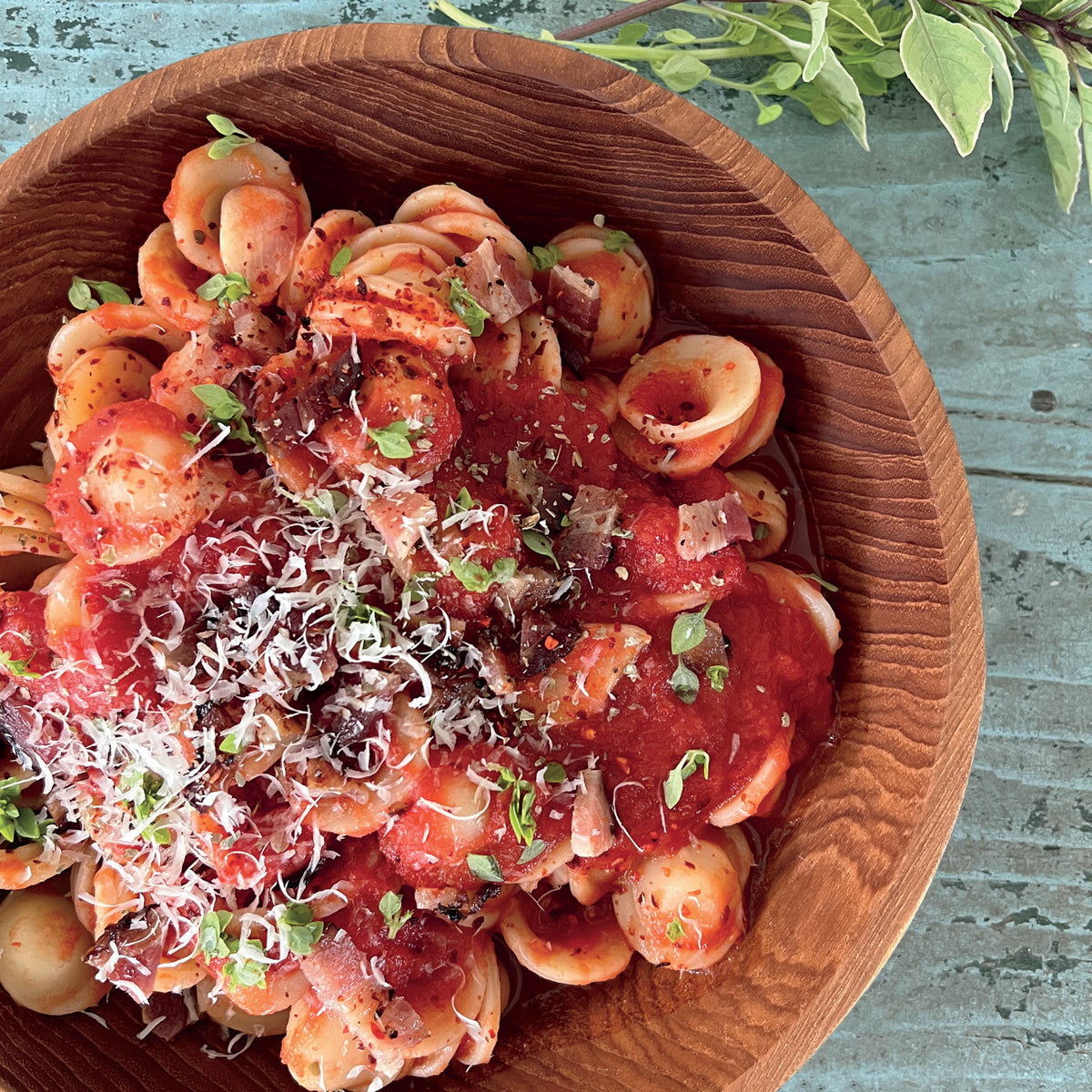 Orecchiette pasta with Finch + Fennel Tomato Basil Marinara Sauce, Parmesan and herbs