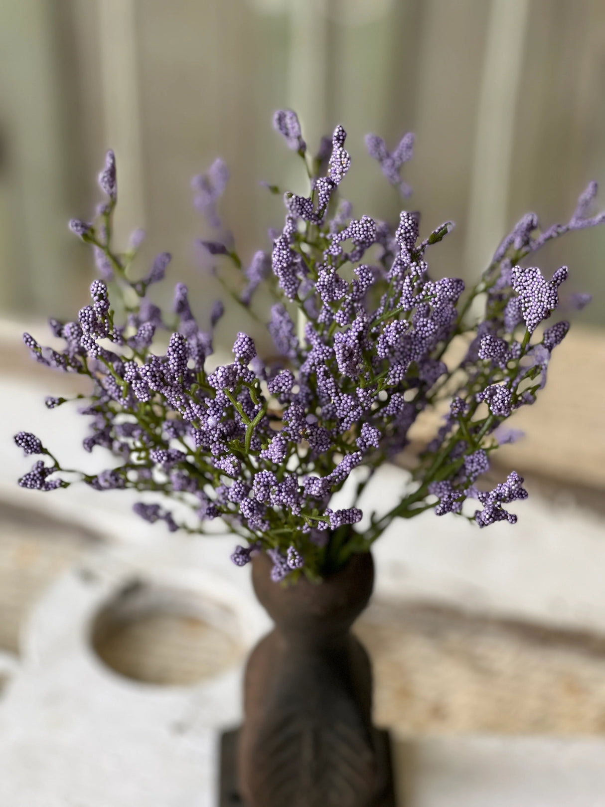Purple Array Astilbe Bush