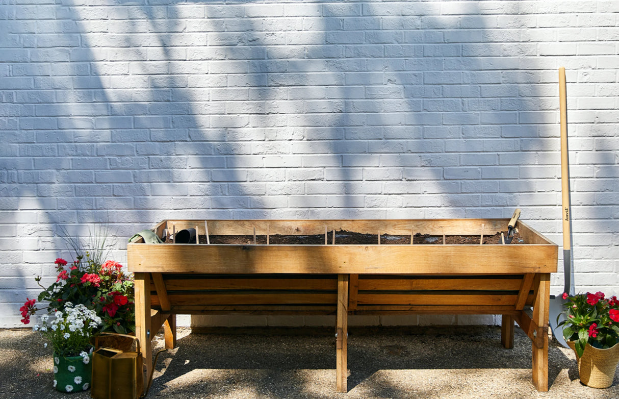 Plantable Wildflower Seed Pop Gift | Modern Sprout