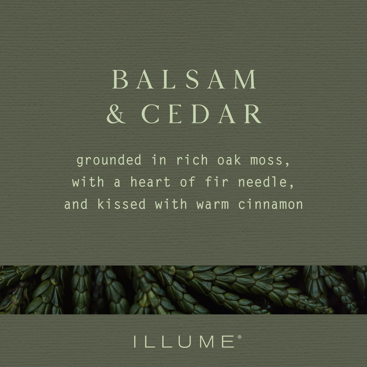 Balsam & Cedar Small Radiant Glass Candle | Illume