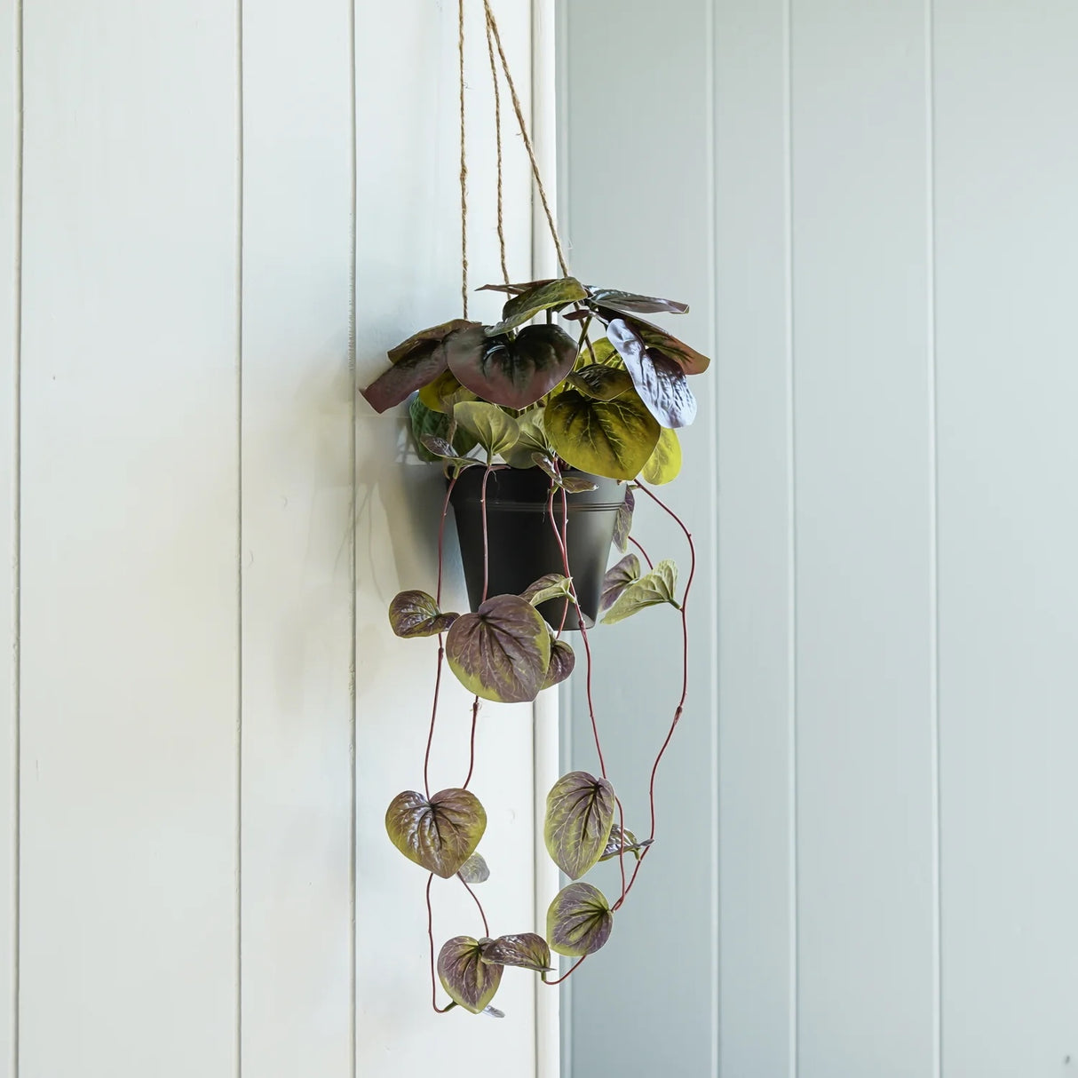Faux Watermelon Begonia Plant in Pot