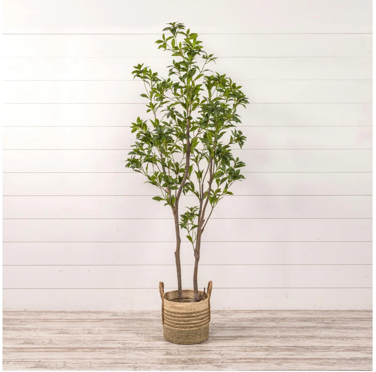 Artificial Laurel Leaf Tree in Black Pot | 6.75' Tall
