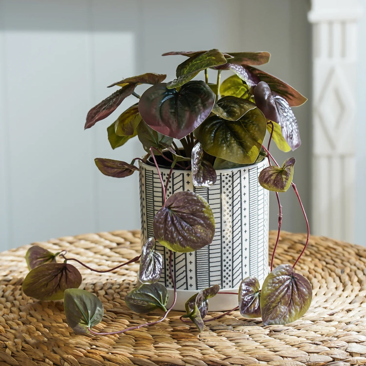 Faux Watermelon Begonia Plant in Pot