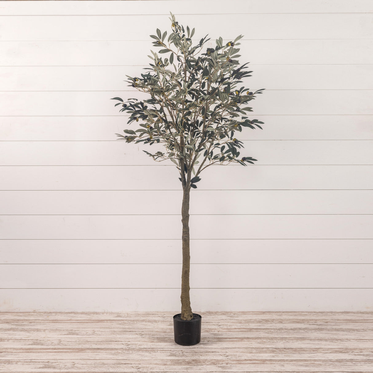 Potted 6' Faux Olive Tree