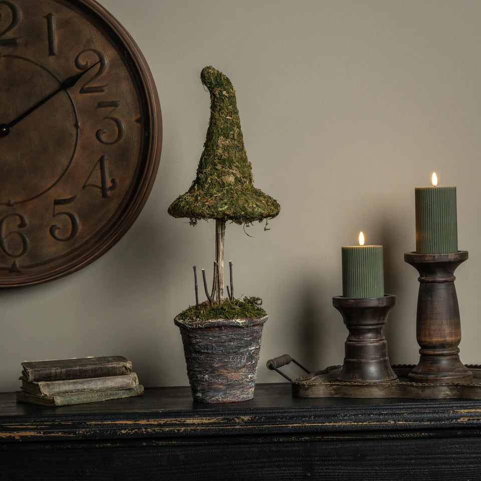 Potted Moss Witch’s Hat Topiary