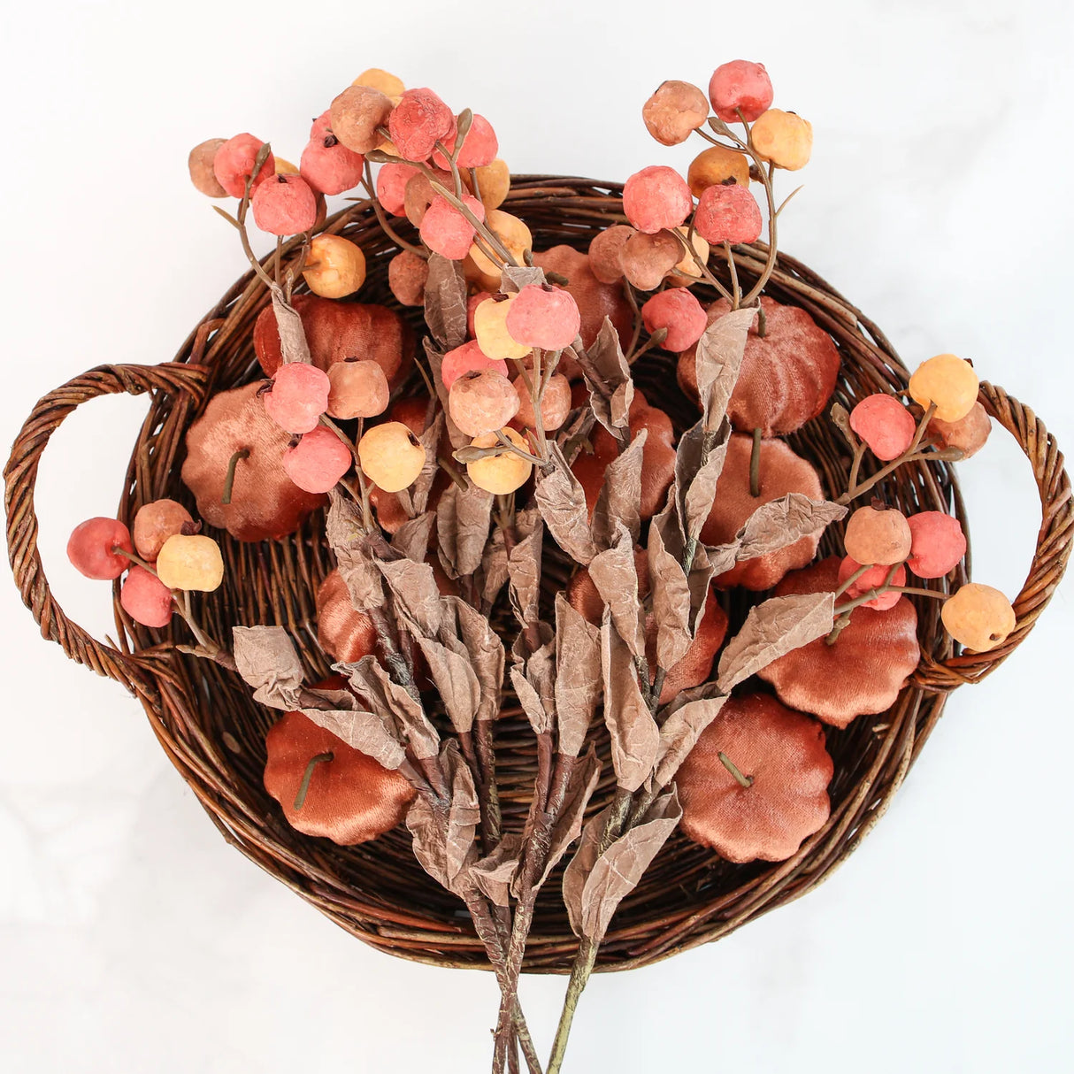 Yellow & Orange Berry Stem