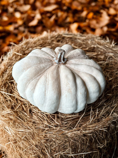 White resin pumpkin