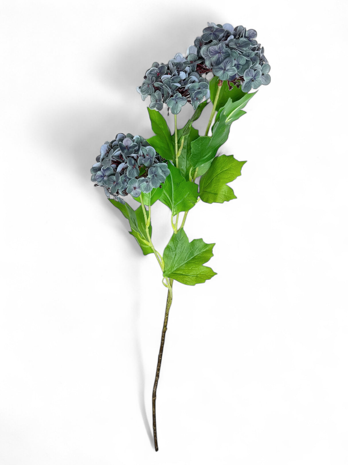 Blue Hydrangea Cluster Stem