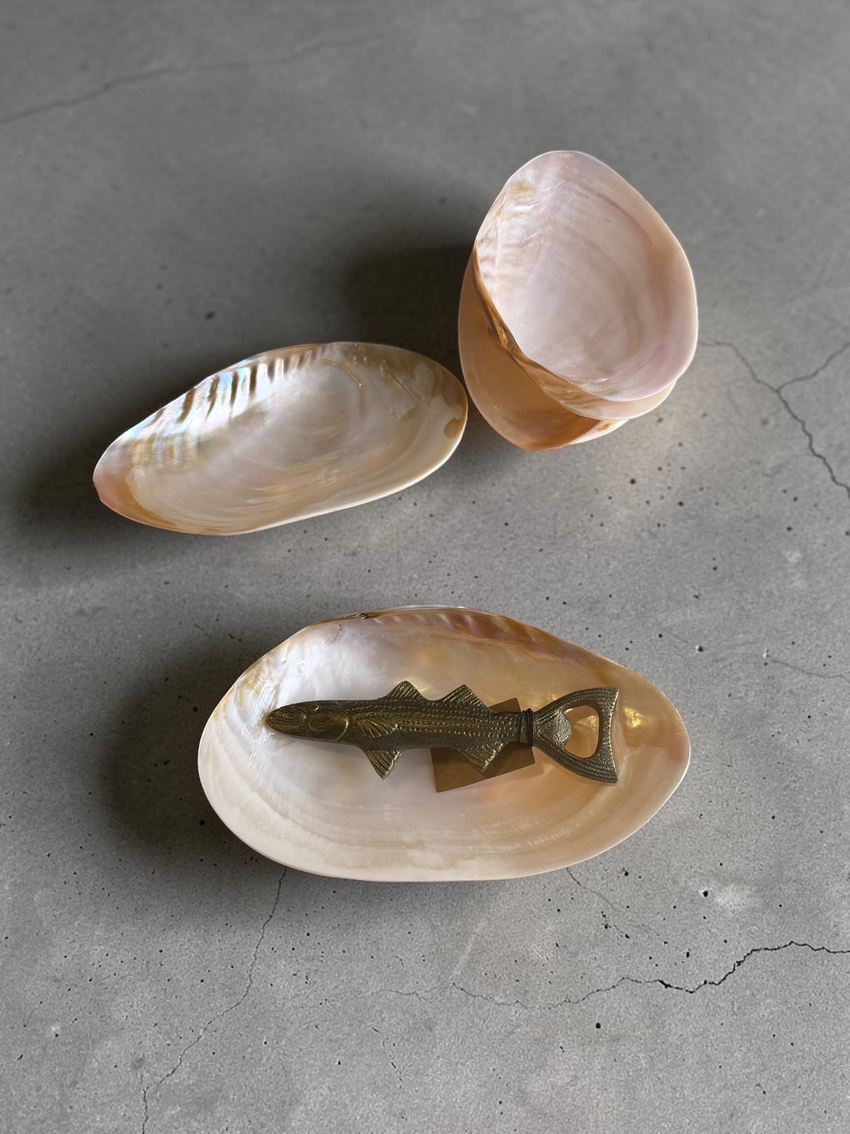 Natural Shell Footed Dish
