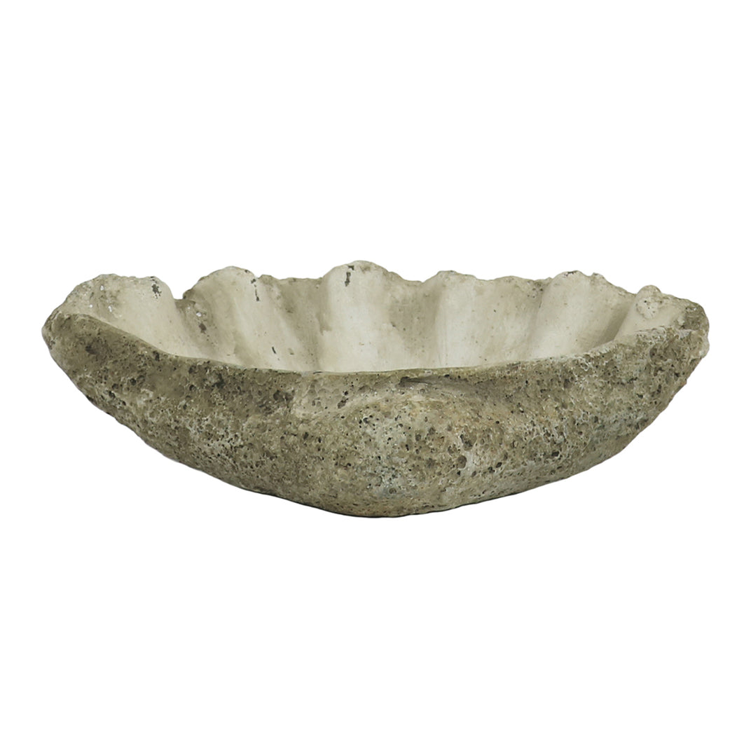 Oversized Cast Concrete Clam Shell Planter | 2 Sizes
