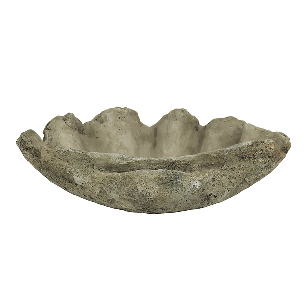 Oversized Cast Concrete Clam Shell Planter | 2 Sizes