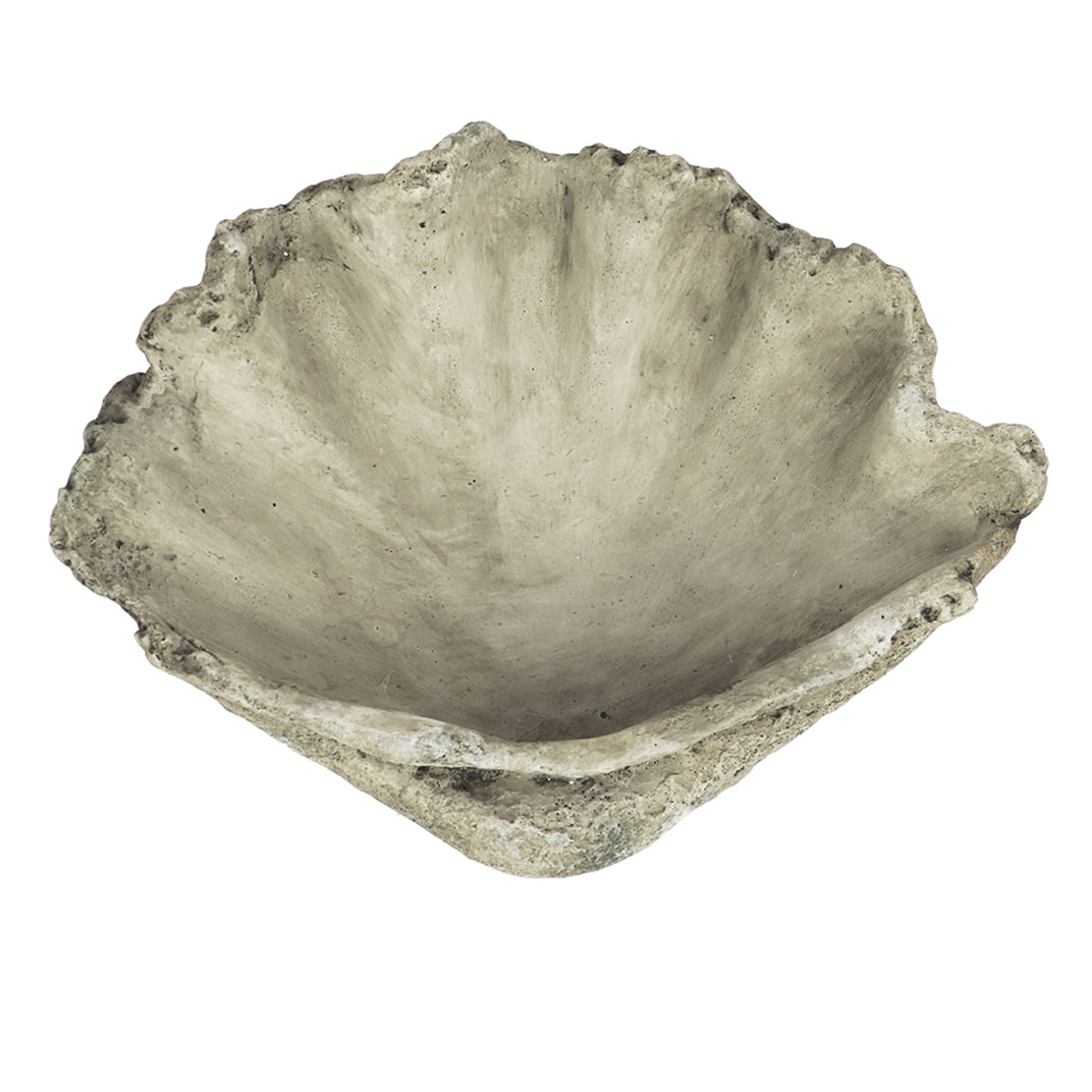 Oversized Cast Concrete Clam Shell Planter | 2 Sizes